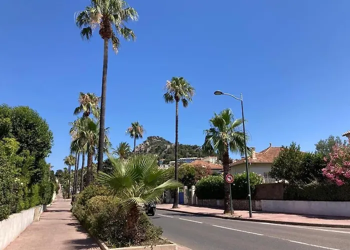 Nid Douillet A Hyeres